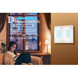 smart dimmer switch work with google home Alexa