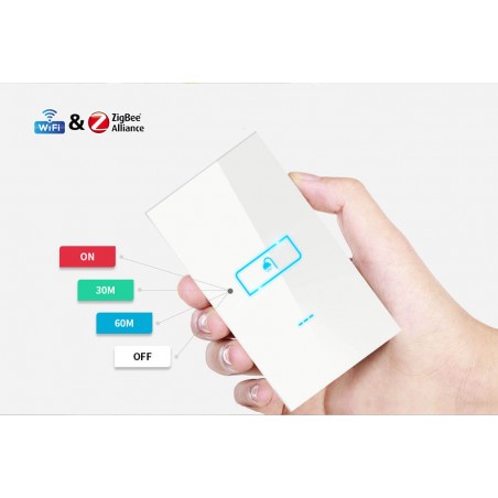 Smart HOST SWITCH